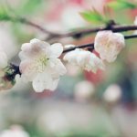 Задават се слънчеви и топли, но ветровити дни - Zashtoto