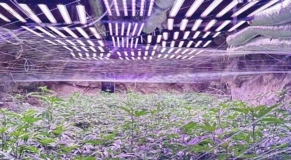 Начало 2025 - Zashtoto