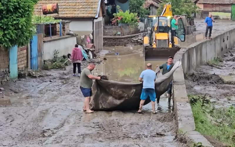 Начало 2025 - Zashtoto
